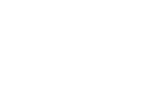 Logo-Akademia-Wenus-L