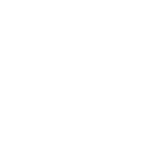 Logo-Bike-Workshop-L