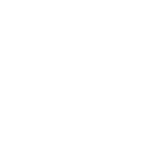 Logo-PZU-L