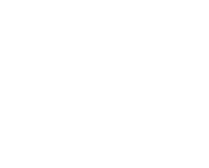 Logo-Scandi-L