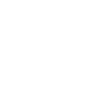 Logo-Setka-L